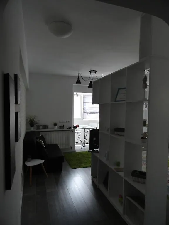 Apartment Cozy Central Studio Bucharest